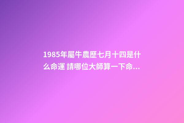 1985年屬牛農歷七月十四是什么命運 請哪位大師算一下命：男的1985年農歷七月十四日午時出生的命運如何？詳細解釋一下，謝謝!!!-第1張-觀點-玄機派